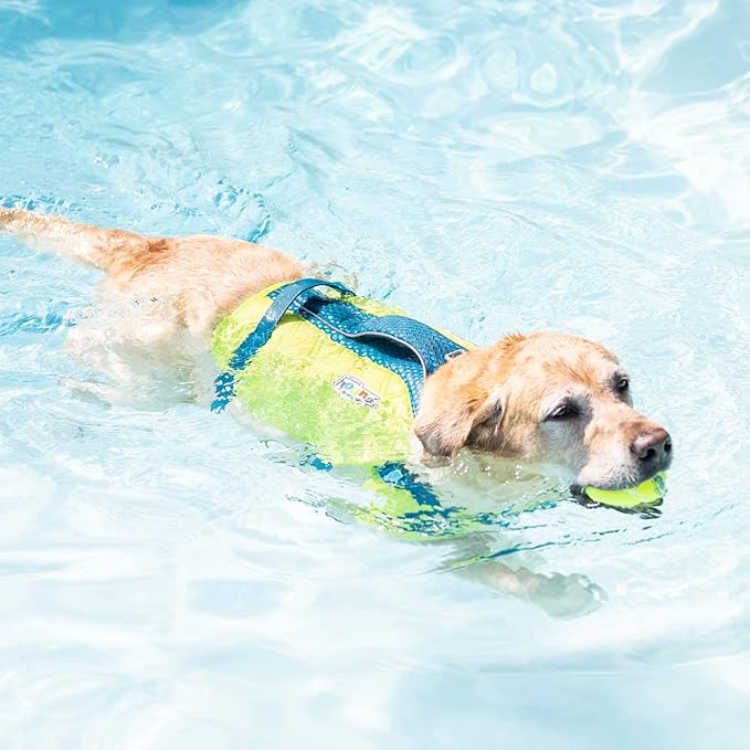 Outward Hound Standley Sport Green Performance Dog Life Jacket, Small