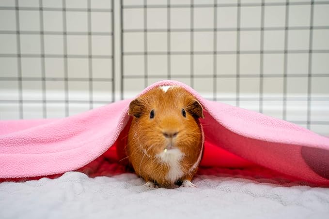 GuineaDad Original Fleece Cage Liner for Guinea Pigs – Reusable, Extra Absorbent Core with Waterproof Bottom – Burrow Pocket Bedding – Fits C&C 2x3 Cages – Pink Small Pet Liner