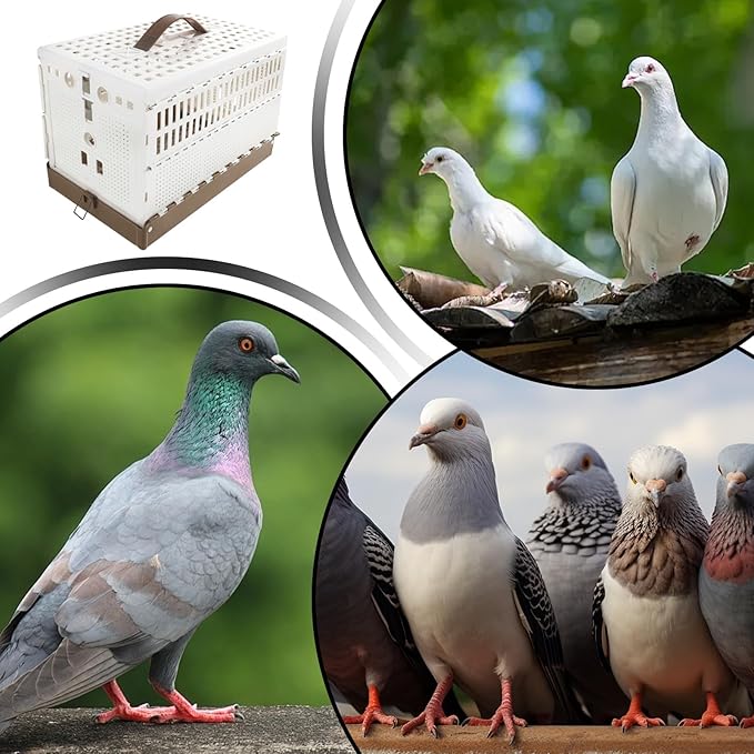Foldable Bird Cage ABS Material, Stable Travel Design, Secure Closure for Parakeets & Parrots, Bird Transport Carrier