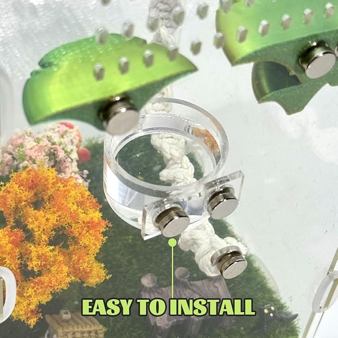 Jumping Spider Feeding Dish Set, Magnetic Water Bowl, Reptile Feeding Tongs, Jumping Spider Enclosure Accessories