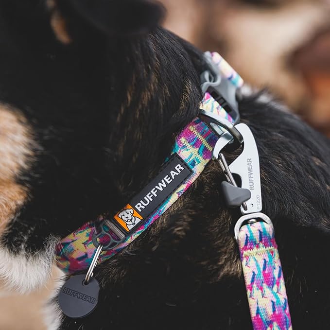 Ruffwear, Front Range Dog Collar, Adjustable Tubelok Webbing, Lightweight, Side Release Buckle, Aluminum V-Ring, Durable for Everyday Use, Wildflower, 14"-20"