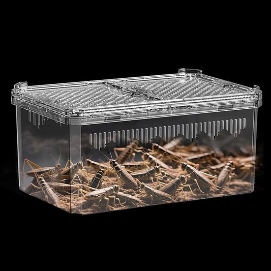 【No Assembly】 Breathable and Secure Reptile Tank with high Transparency - Ideal Container House for Hermit Crab, Tarantula Enclosure, Cricket Habitat or Jumping Spider Habitat (S)