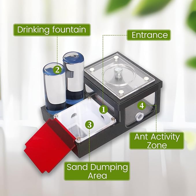 Ant Farm Nest - Educational Habitat - Black and White Acrylic Design with Built-in Water Tower and Clear Observation Area (S)