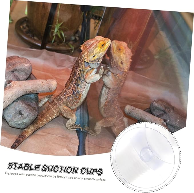 1Set Reptile Humidifier Extension with Cups for Reptiles and Amphibians Versatile Accessory for Containers and Humidifiers