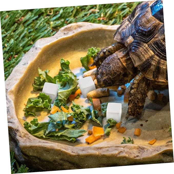 Toyvian 30pcs Natural Mineral Block for Reptiles Tortoises and Amphibians Promotes Growth Supports Stabilizes Water Quality for Turtles Lizards Frogs and Chameleons