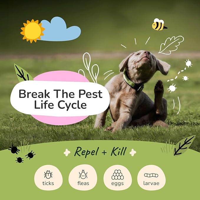 Flea Tick Protection Kit (Lavender Shampoo - Lemongrass Spray)