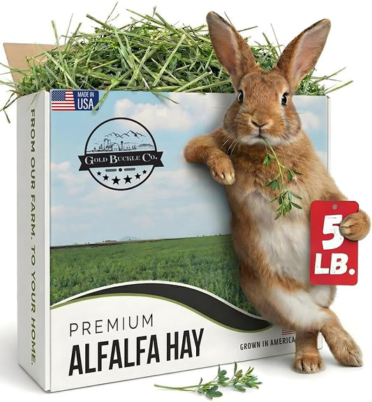 5lb Farm Fresh Alfalfa Hay for Rabbits, Guinea Pigs, Chinchillas, Goats, Hamsters & Ferrets - Organic Small Animal Food Rich in Protein & Fiber - Fresh Dried, Hand-Selected, USA Grown
