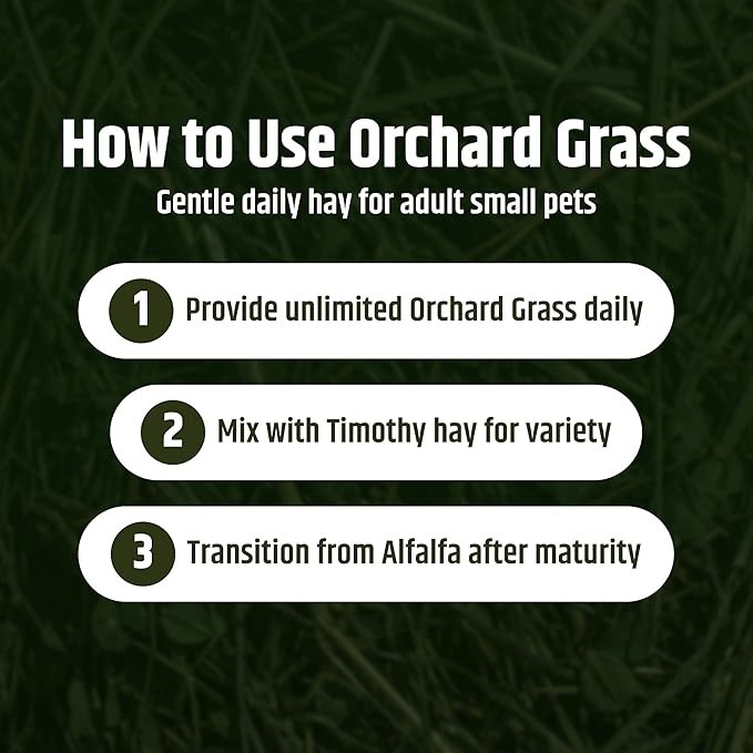 High Desert Orchard Grass Hay, Natural Orchard Hay for Rabbits Guinea Pigs Hamsters and Chinchillas, Soft Leaf Texture for Grazing and Foraging, Small Pet Supplies, Fresh Hand Packed Hay Box, 16 Lb