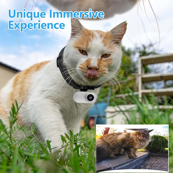 ehomful HD 1080P Cat Camera Collar with Video Record, Mini Small Sports Video Cameras, Body Cam Outdoor/Inoor No WiFi, Unique Pet Supplies Gift for pet Owners, Dog Moms, cat dads, Ideal Gift