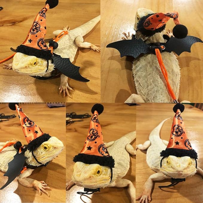ADOGGYGO Halloween Bearded Dragon Lizard Leash Harness Hat Set - Reptile Halloween Clothe Pumpkin Hat + 3 Pack Reptile Harness Leash for Bearded Dragon Lizard