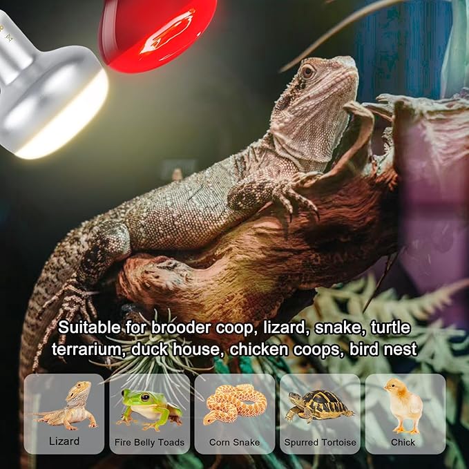 Infrared Reptile Heat Bulb Lamp 75W, 2-in-1 Day & Night Combo, Infrared Heat Lamp & UVA Sunlight Heating Lamp for Reptile Terrariums
