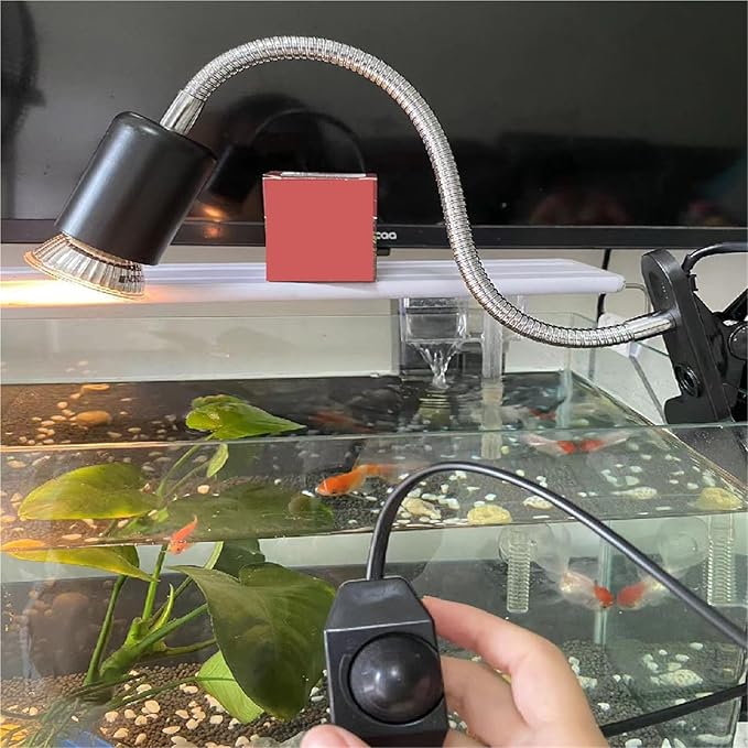 Turtle's Back Rack, Adjustable UVA Heating Light, Metal Bending Clip, Pet(Black lamp Clip)