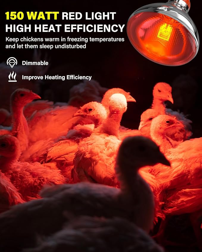 Heat Lamp Bulbs for Chickens Coop Brooder,150 Watt Reptile Heat Lamp Bulb Infrared Red Light for Chicks,Birds,Ducks,Dogs,Cats (Heating Lamp Not Included)-ONLY Sold Official