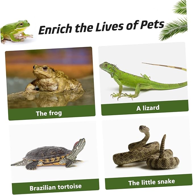 20Pcs Reptile Water and Food Measuring Cups Scale Feeder Bowls for Gecko Lizard Snake for Pet Feeding and Watering