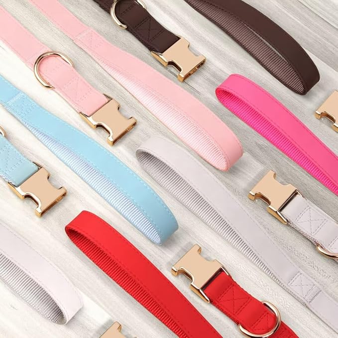 PET ARTIST Soft PU Leather Dog Collar and Leash Set, Bright & Stylish 5FT PU Leather Leash and Collar Set, Durable Pet Collars with Quick Release Metal Buckle for Small Dogs,Blue,S(9"-14")