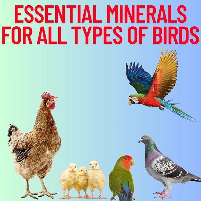 Blue Stones Grit Mix Minerals, High Calcium Supplement, Designed to Promote Strong Bones, Better Digestion, and Overall Well-Being for Pigeons, Small Cage Birds, Duck and Chickens 3 Pounds Bag