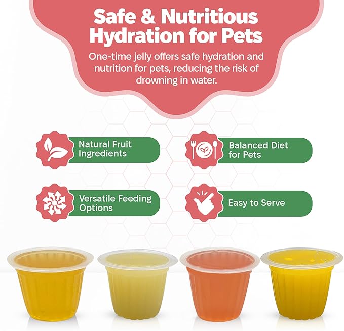 Snout and Shell Pet Jelly Pods Variety Pack - Nutritious Jelly Fruit Nectar Treats for Geckos, Sugar Gliders, Birds, Small Pets - Real Fruit Juice - 40 Cups