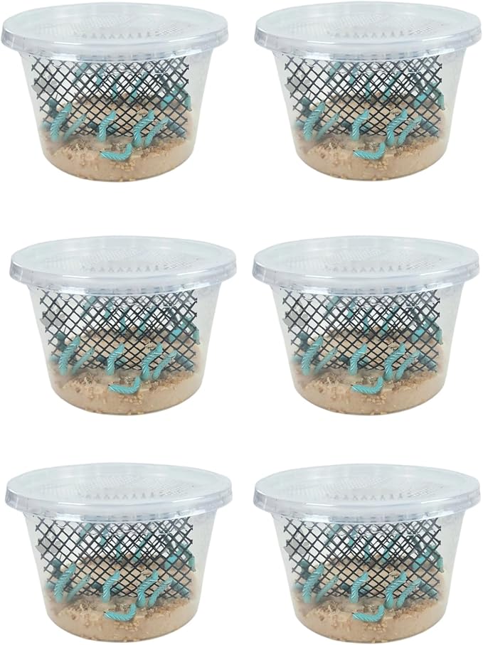 Josh's Frogs Hornworms Habitat Cup (12x6 Count Cup)