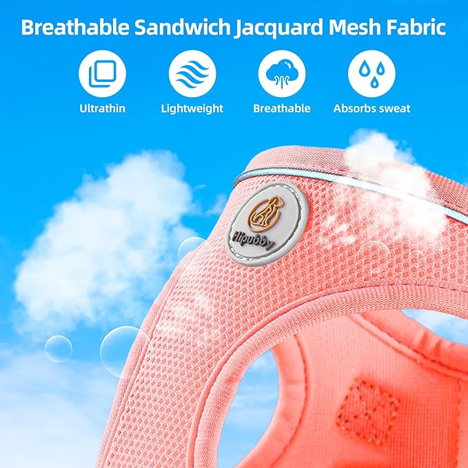 Hipubby Dog Harness and Leash Set, No Pull Soft Mesh Puppy Harness for Small Medium Dogs, Cats - Step in Reflective Breathable Lightweight Vest Harness for Walking, Training - Pink, XXS