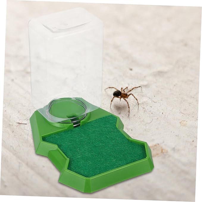 SUPVOX Reptile Feeding Box Lizard Water Dispenser for Gecko Tortoise Food Dish Plastic Water Bowl Reptile Hydration