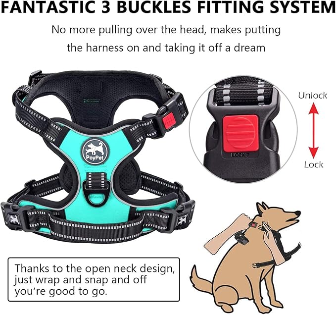 PoyPet No Pull Dog Harness, No Choke Front Clip Dog Reflective Harness, Adjustable Soft Padded Pet Vest with Easy Control Handle for Small to Large Dogs(Mint Blue,M)