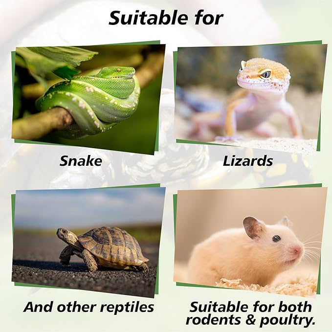 Sukh 14OZ Natural Aspen Shavings Reptile Bedding, Soft Wood Shavings Terrarium & Tank Substrate, Nesting Material for Snake, Lizard, Tortoise, Small Animal, Rabbit, Chicken & Bird