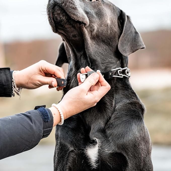 Herm Sprenger Prong Collar for Dog Training with Easy Quick Release Cliclock & ORing - German Made Dog Collar with Chrome Plated Steel 2.25mm Prongs for Small Dogs (14-19" Neck)