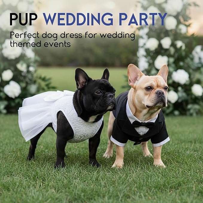 ASENKU Dog Dress Pet Wedding Dress Princess Lace Puppy Birthday Party Outfit Formal Apparel Girl for Small Medium Dogs Cats (Small, White)