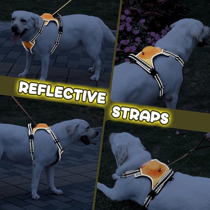 2-in-1 No Pull Dog Harness & Retractable Leash - Large Dog Harness with Auto-Lock, Reflective & Adjustable-XL