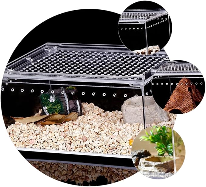 POPETPOP Reptile Breeding Box, Reptile Feeding Container Aquarium Breeding Tank Transparent Feeding Box Terrarium Habitat for Snake Turtle Lizards（7.86X5.89X3.93in）