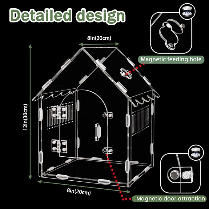 Acrylic Jumping Spider Enclosure, 8"x8"x12" Portable Tarantula Habitat with Ventilation, Clear Small Reptile Terrarium Tank for Pet Insects