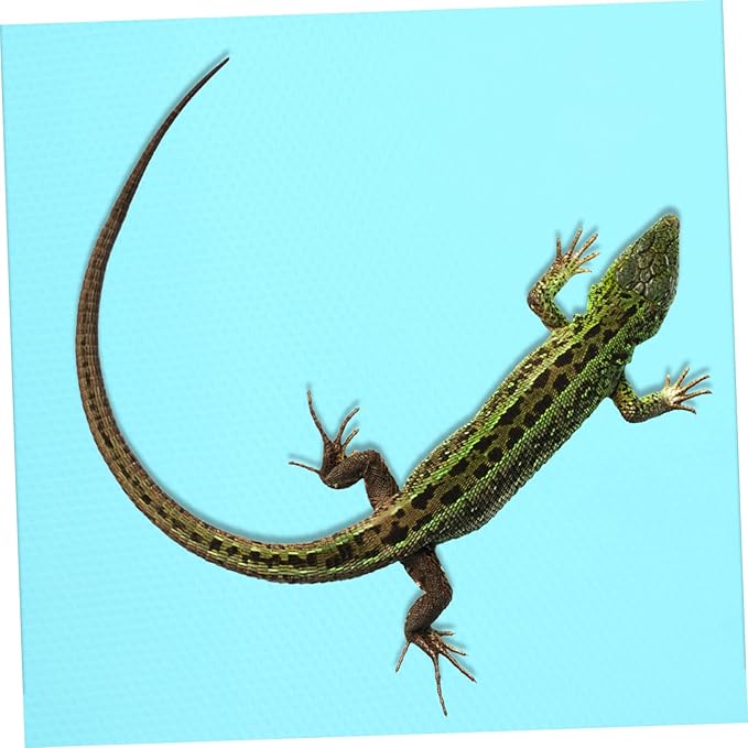 200m Reptile Carpet for Bearded Dragon Soft Nonslip Mat for Snake and Lizard Terrarium Easy Clean Bedding for Tortoise and Gecko Habitats Blue