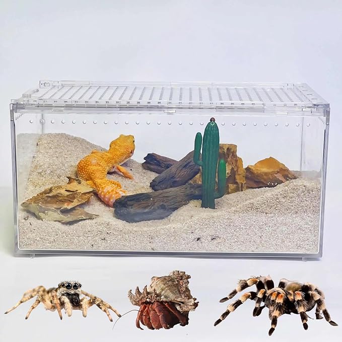 12x8x6 Inch Terrarium with Magnetic Top Sliding Lid, Clear View Critter Keeper & Spider Enclosure, Jumping Spider/Tarantula Habitat, Hermit Crab Tank, Tadpole to Frog Kit