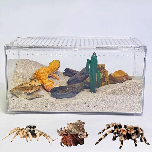 12x8x6 Inch Terrarium with Magnetic Top Sliding Lid, Clear View Critter Keeper & Spider Enclosure, Jumping Spider/Tarantula Habitat, Hermit Crab Tank, Tadpole to Frog Kit