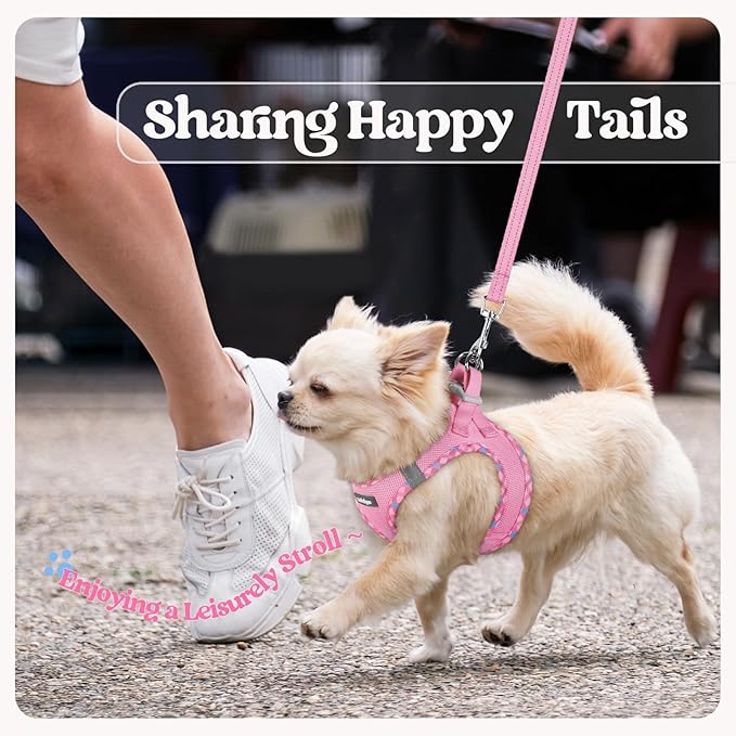 rabbitgoo Dog Harness Small Medium Sized and Leash Set, Step in Soft Light Puppy Vest, Breathable Mesh Pet Harness, Reflective for Safe Easy Walking, Pink & Plaid Trim L