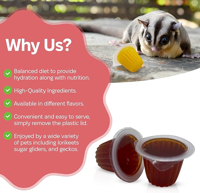 Snout and Shell Beetle Jelly for Exotic Pets – Nutrient-Rich Feeding Gel for Beetles, Insects, and Small Reptiles – Easy to Use, Mess-Free - Mango