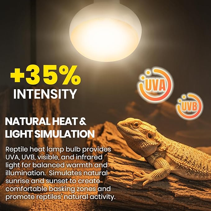 CALPALMY 4-Pack 150W Reptile Heat Lamp Bulb, UVA Daylight Basking Light for Reptiles, Bearded Dragon, Lizard, Turtle, Snake, Tortoise, Chicken – Flat Bottom Design, Long Lifespan, 120V E26 Base