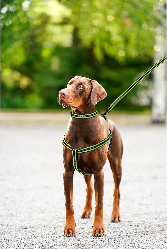 Mile High Life Night Reflective Double Adjustable Band Nylon Small Puppy Pet Dog Combo Collar Leash and Harness Set (Reflective Stripe Lime Green, Small (Pack of 3))