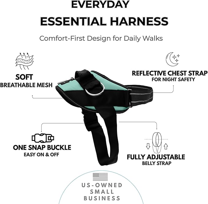 ShawnCo Essential Dog Harness, No-Pull Pet Vest with 3 Leash Clips, No Choke, Reflective, Adjustable and Padded, for Easy Walking and Training for Small, Medium and Large Dogs (Seafoam, XS)