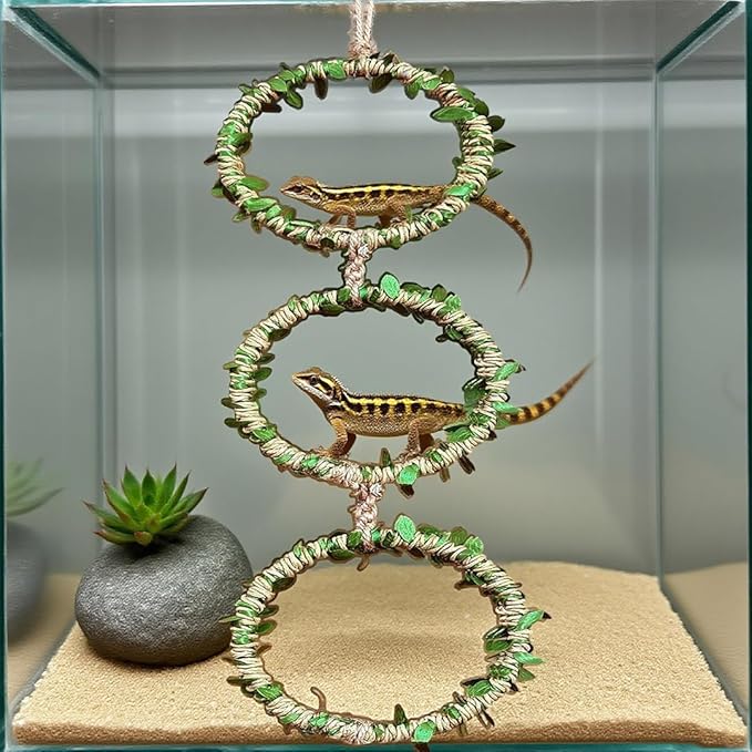 1 Pack Snake Climbing Rings for Ball Python Snake Enrichment Rings Ball Python Tank Accessories Chameleon Cage Accessories for Lizard Bearded Dragon Terrarium Gecko Reptiles