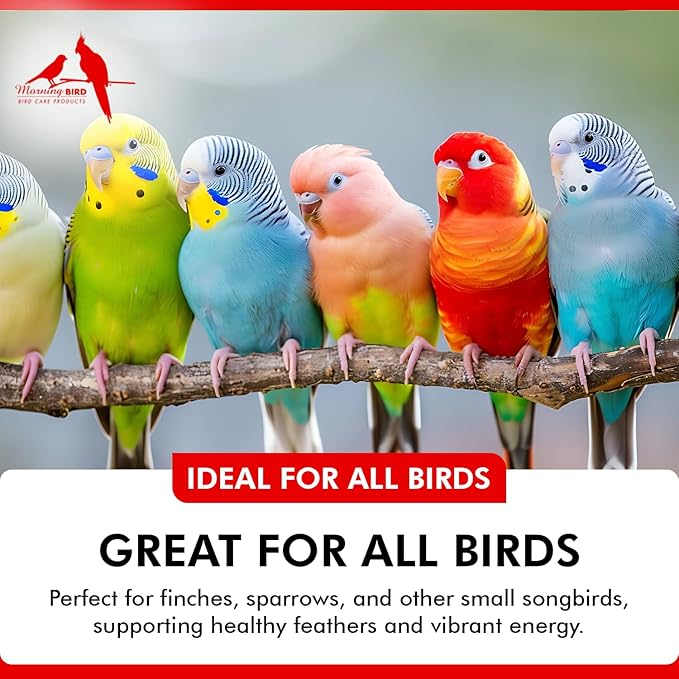Morning Bird Liquid Iodine for Birds 4 fl oz – Iodine Mineral Supplement – Supports Feather Growth, Molting, Energy & Healthy Thyroid Function – Easy-to-Use Drops
