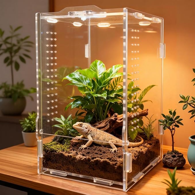 Acrylic Spider Enclosures, Insect Breeding Boxes, Insect Enclosures, Scorpion Habitats, Small Lizard and Frog Enclosures