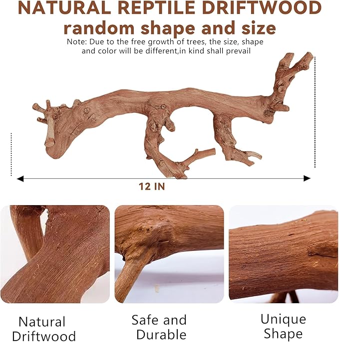 BNOSDM 2PCS Reptile Wood Branches Decor,Lizard Habitat Natural Wood Decoration,Snake Climbing Branch Accessories,Terrarium Tree Trunk Ornament for Bearded Dragon Gecko Frog Chameleon Spider