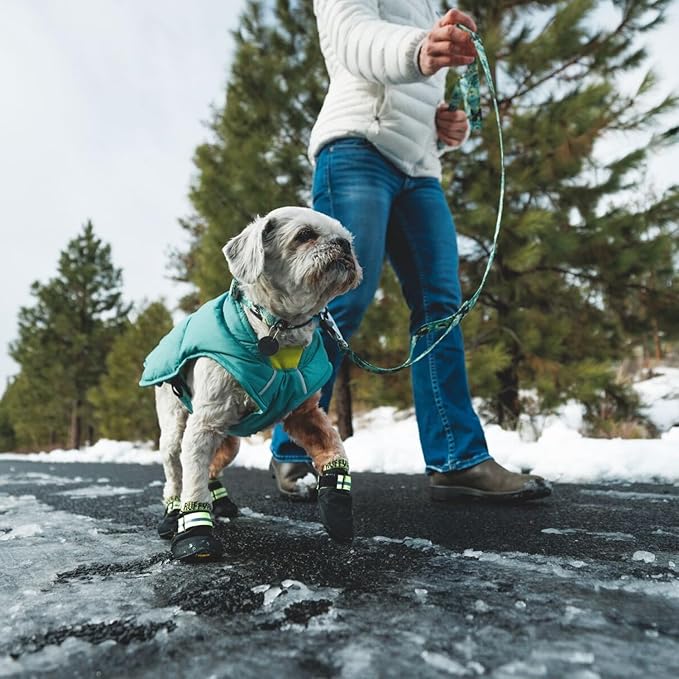 Ruffwear, Front Range Dog Collar, Adjustable Tubelok Webbing, Lightweight, Side Release Buckle, Aluminum V-Ring, Durable for Everyday Use, Sweeping Sage, 20"-26"