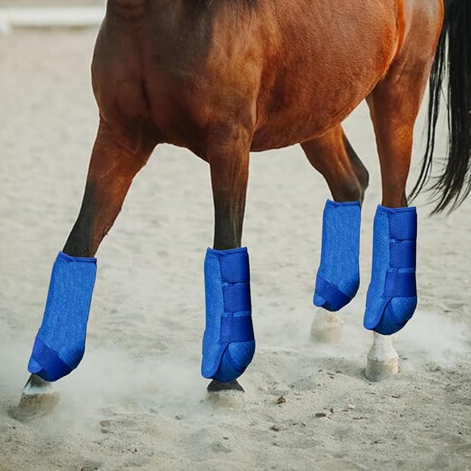 4Pcs Horse Boots Leg Protectors Adjustable Comfortable Neoprene Reusable Breathable Horse Guards Set Leg Gear for Ourtdoor, Blue, L