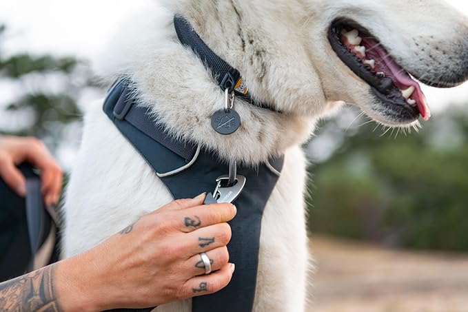 Ruffwear, Front Range Dog Collar, Adjustable Tubelok Webbing, Lightweight, Side Release Buckle, Aluminum V-Ring, Durable for Everyday Use, Blue Pool, 11"-14"