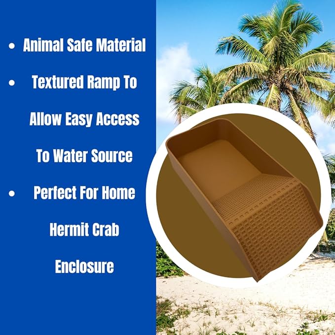 Hermit Crab, Lizard, Turtle, Amphibian XL Watering Pool | Platform Pool Accessory with Access Ramp for Pet Habitats | 9.75" x 5" | Made in USA (X-Large) (Fresh Only, Tan)