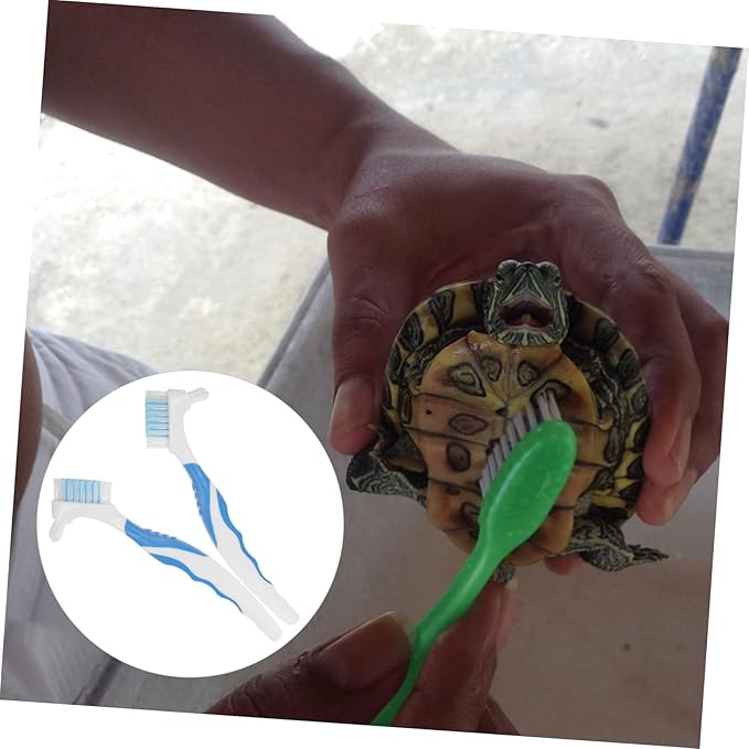 HANABASS 2pcs Portable Turtle Shell Cleaning Brush Multi-Functional Dirt Remover Double-Head for Effective Household Use