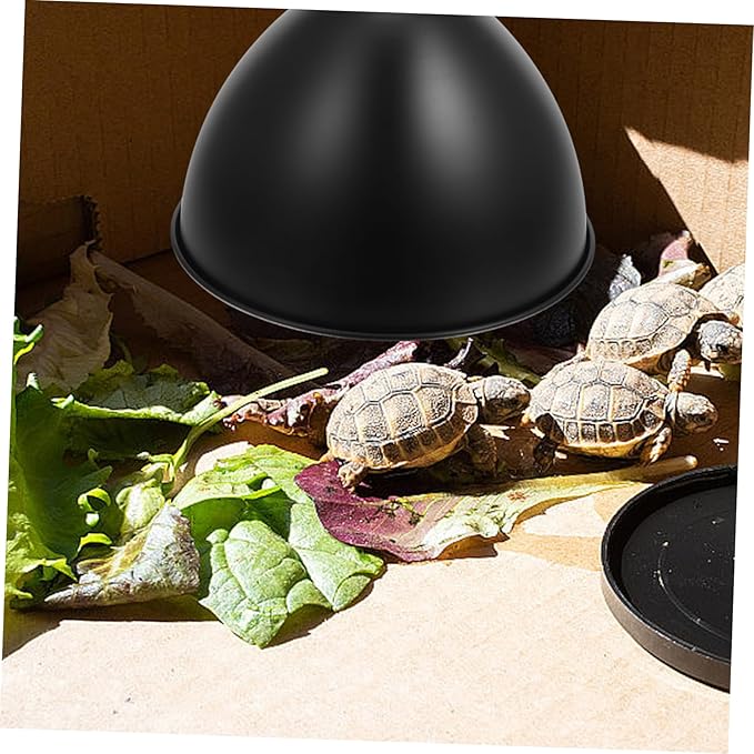 STOBAZA 3pcs Box Reptile Habitat Lighting Shade Reflective Cover for Reptile Heating Lamp Insulation Lamp Reflector for Pet Safety