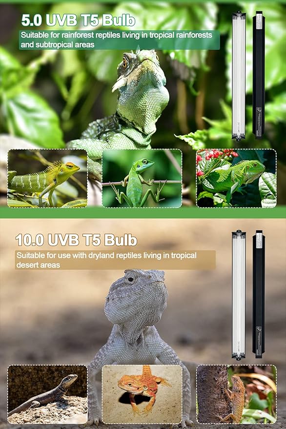 UVB Light for Reptiles, 12 Inch T5 10.0 UVB Reptile Light Fixture 8W, High Output UVA UVB Linear Lamp with Replaceable Bulb for Bearded Dragons, Tortoises & Lizards